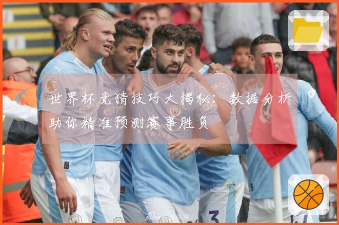 世界杯竞猜技巧大揭秘：数据分析助你精准预测赛事胜负