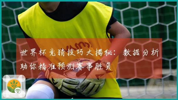 世界杯竞猜技巧大揭秘：数据分析助你精准预测赛事胜负