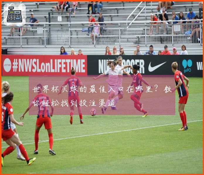 世界杯买球的最佳入口在哪里？教你轻松找到投注渠道
