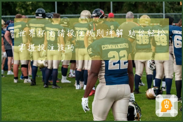 世界杯竞猜投注规则详解 助你轻松掌握投注技巧