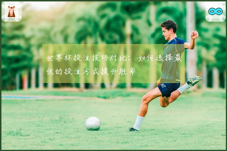 世界杯投注技巧对比：如何选择最优的投注方式提升胜率